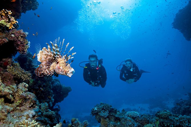 Full-Day Beginner Scuba Course with Private Tuition, Racha Yai - Breakfast, lunch, and snacks make the eight-hour day easier
