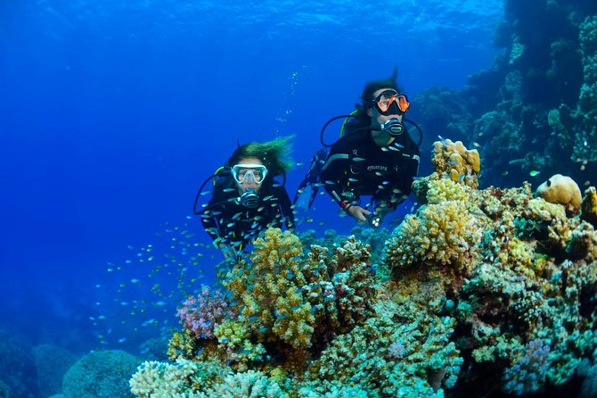 Full-Day Beginner Scuba Course with Private Tuition, Racha Yai - What you practice before going underwater