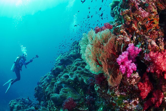 Full-Day Beginner Scuba Course with Private Tuition, Racha Yai - Photos cost extra, and your own camera is not allowed