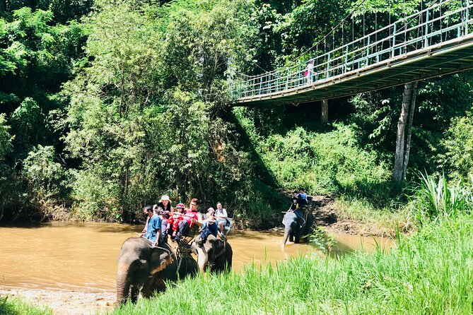 Full Day Car Hire with an English Speaking Driver in Chiang Mai - A vehicle that makes long days easier