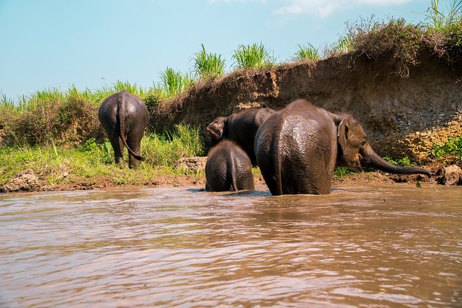 Full Day Chauffeur Driven Tuk Tuk Adventure in Chiang Mai including rafting - Leaving Chiang Mai for Mae Wang by tuk tuk