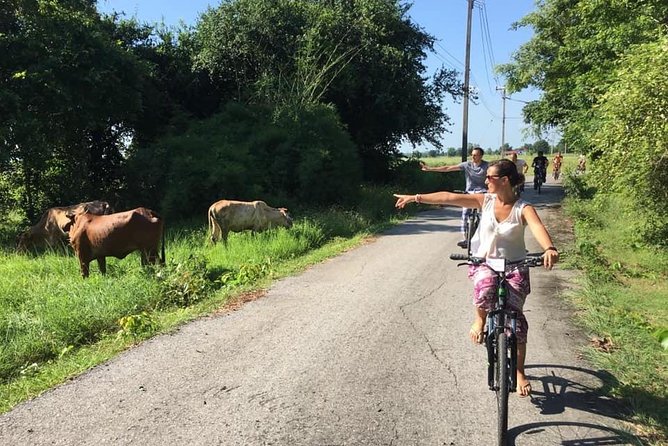 Full Day Cycling tour to Sukhothai Historical Park - Entering Sukhothai Historical Park by bike