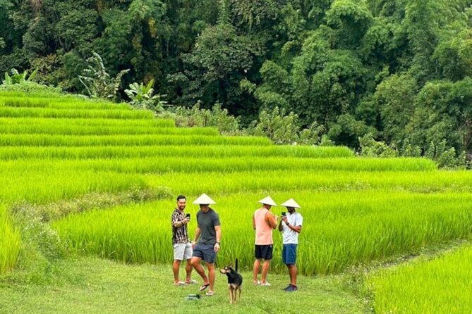 Full-Day Doi Inthanon National Park Tour with Trek and Pagodas - From Chiang Mai to the country’s highest peak