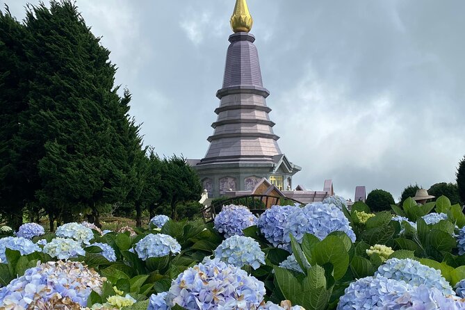Full-Day Doi Inthanon National Park Tour with Trek and Pagodas - Lunch and produce at the Hmong Market