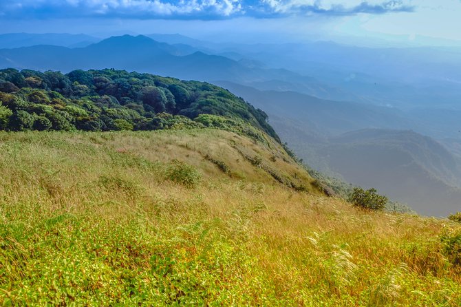 Full-Day Doi Inthanon Nature Tour from Chiang Mai - Who should book this mountain day