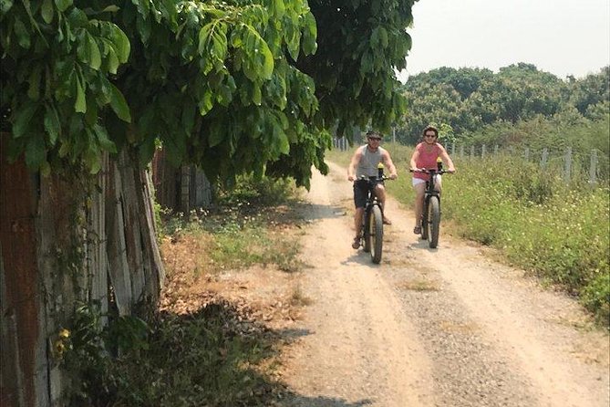 Full-day E-bike Countryside and Nam Phrae (flat-hilly, GUIDED) - Rice fields, orchards, and roads near the Ping River