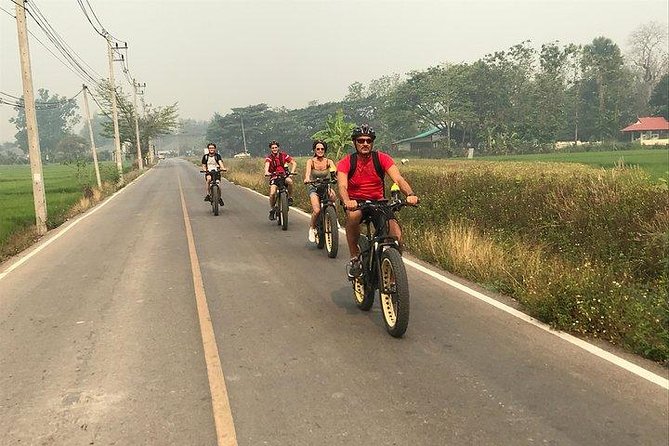 Full-day E-bike Countryside and Nam Phrae (flat-hilly, GUIDED) - Pickup and timing: useful, but not casual