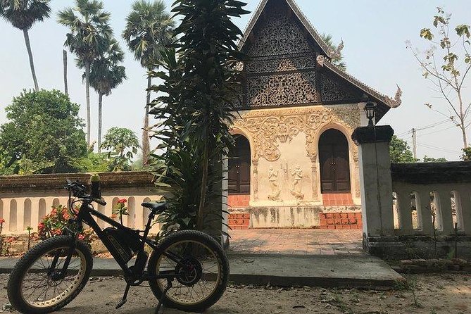 Full-day E-bike Countryside and Nam Phrae (flat-hilly, GUIDED) - Who will enjoy this day most