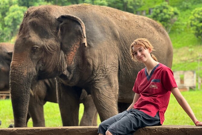 Full Day Experience at Ran-Tong Save & Rescue Elephant Centre - Walking beside elephants in their natural habitat