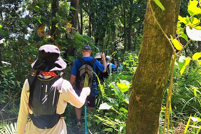 Full-Day Hike and Bike Tour from Chiang Mai - Cycling the rural Mae Sa roads