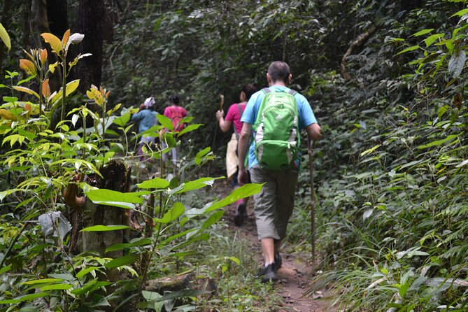 Full-Day Hike and Bike Tour from Chiang Mai - Hiking through paddies, villages, and forest