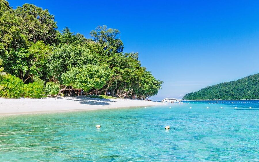 Full-Day Koh Lipe 5 points Snorkeling (East Zone) with Lunch - Safety, comfort, and what to pack
