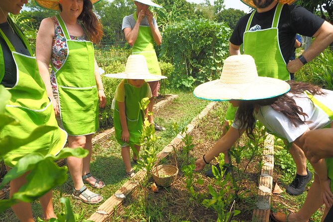 Full Day Thai Cooking at Farm (Chiang Mai) - From Chiang Mai hotel to the local market