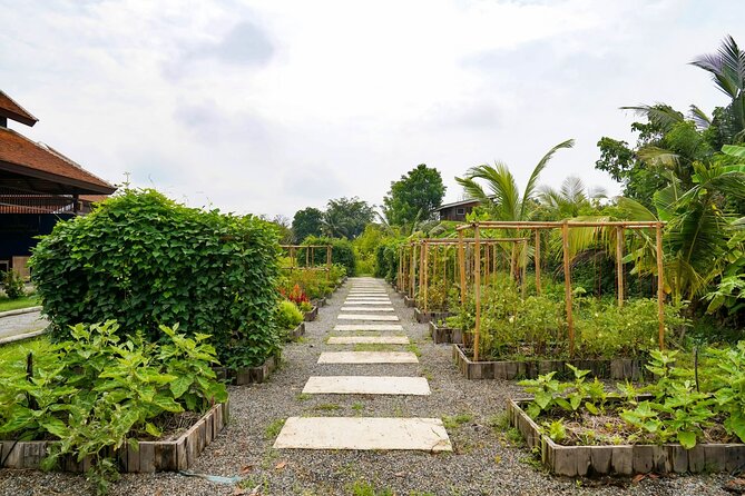 Full-Day Thai Cooking Class with Grandma - Market and Farm Tour - What the $58.33 price includes