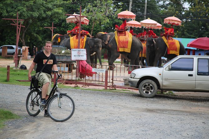 Half-Day Ayutthaya City Cultural Bike Tour - Wat Mahathat and the famous Buddha image