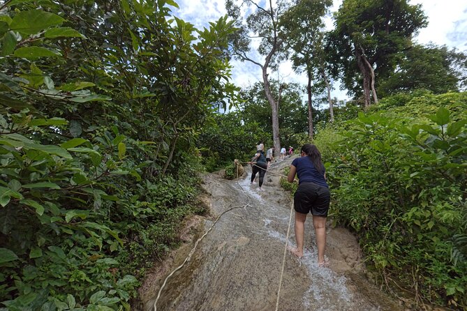 Half Day Chiangmai Bua Tong Sticky Waterfall Tour - Key points at a glance