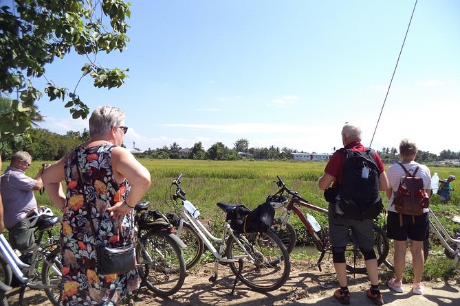 Half-Day Colors of Chiang Mai Biking Tour - Lunch and the value of the $40.75 price