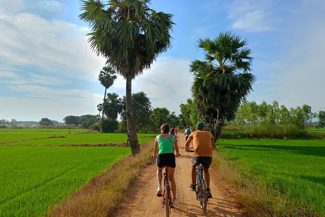 Half Day Countryside Cycling in Sukhothai - Lunch and the practical value of the price