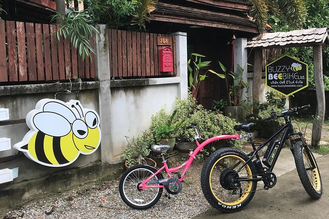 Half-day E-bike Countryside and rice paddies (flat land, GUIDED) - Why this is a good break from Chiang Mai’s old city