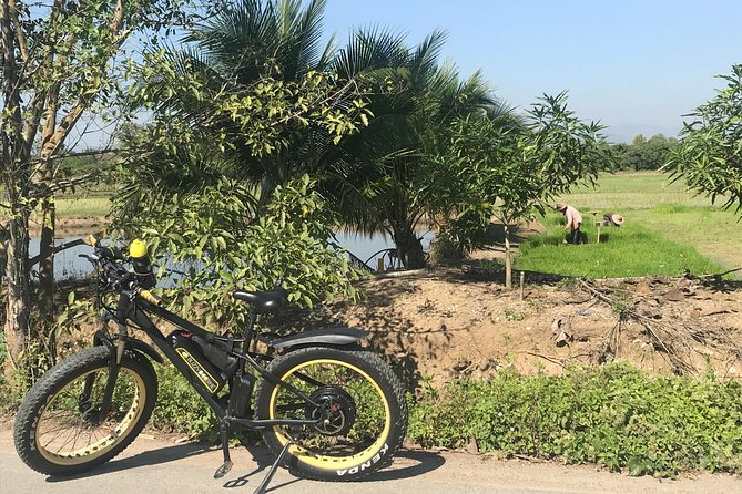Half-day E-bike Countryside and rice paddies (flat land, GUIDED) - Rice paddies, orchards, and the Ping River
