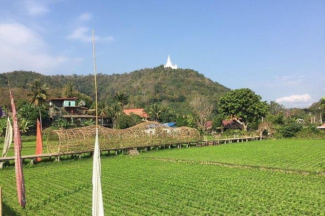Half-day E-bike Nam Phrae (hilly, fully paved roads, GUIDED) - Why this four-hour ride works so well