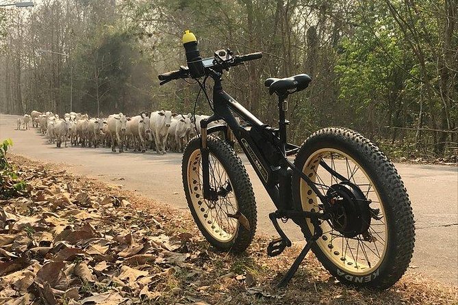 Half-day E-bike Nam Phrae (hilly, fully paved roads, GUIDED) - What the $50.52 price really covers