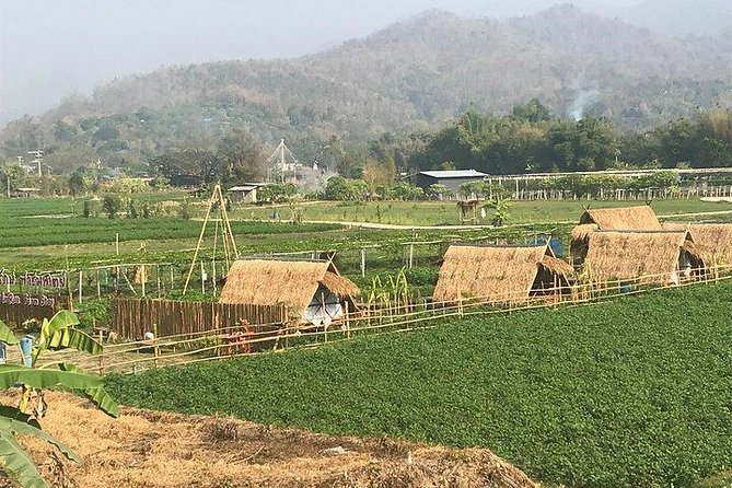 Half-day E-bike Nam Phrae (hilly, fully paved roads, GUIDED) - Morning or afternoon?