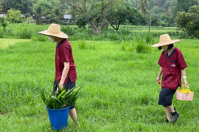 Half-Day Elephant Experience at Rantong - What the $58.70 price includes
