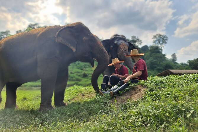 Half-Day Elephant Experience at Rantong - Who will enjoy this Ran-Tong visit