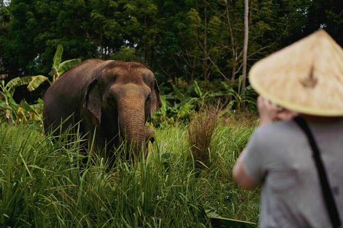 Half Day Elephant Home Sanctuary in Samui - Food preparation gives you a better first meeting