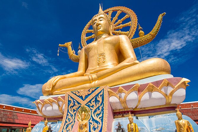 Half Day Highlights Koh Samui Tour - Why this is a smart first look at Koh Samui