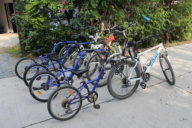 Half-Day Lanna Countryside Cycling Tour in Chiang Mai - What makes this more than a bike rental