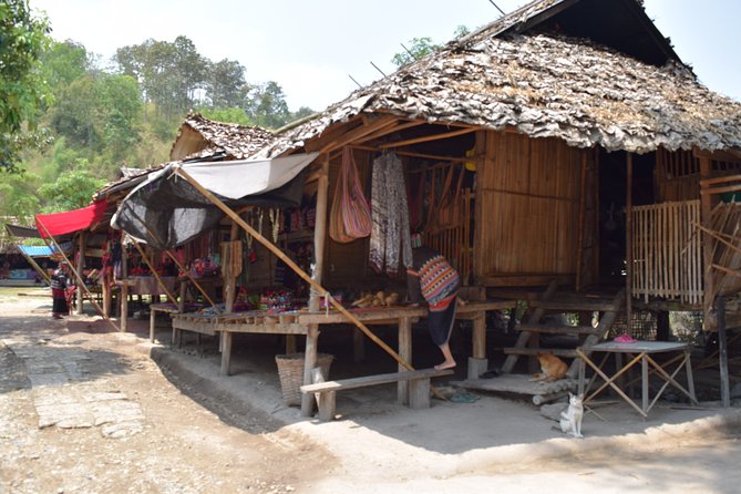 Half Day Long Neck hill tribe and Elephant POOPOOPAPER Park (Private Tour) - Timing, Pickup, and What to Bring