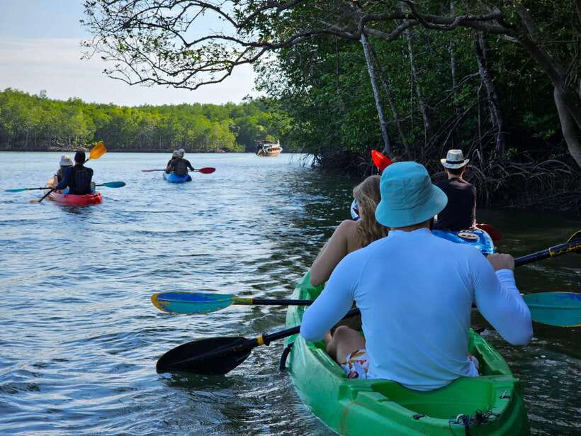 Half Day Mangrove Forest (Morning or Afternoon) - A quiet side of Koh Lanta
