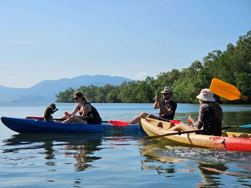 Half Day Mangrove Forest (Morning or Afternoon) - Kayaking through narrow mangrove channels