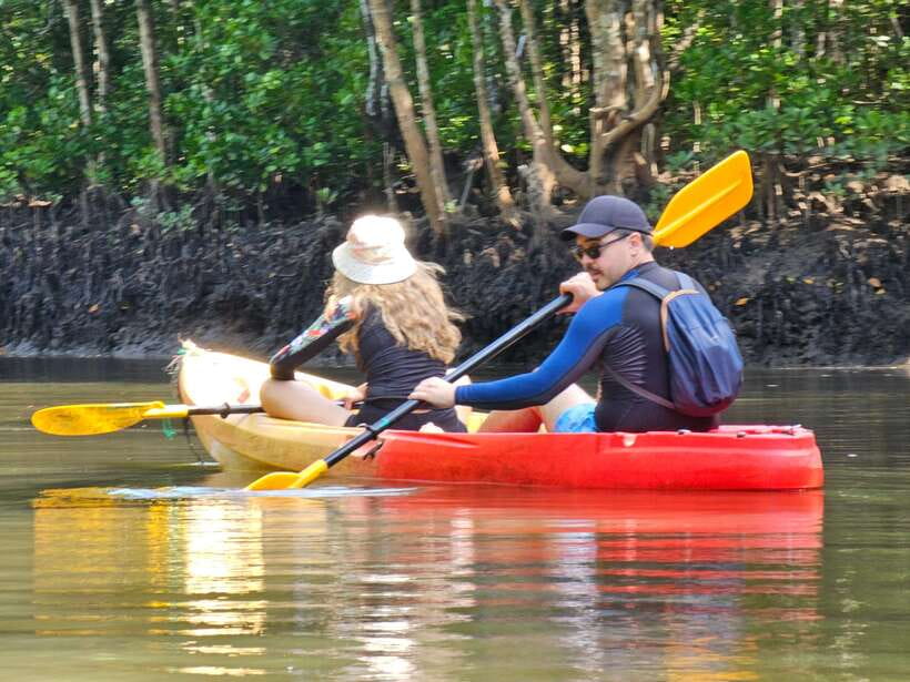 Half Day Mangrove Forest (Morning or Afternoon) - One hour around Thung Yee Peng Pier