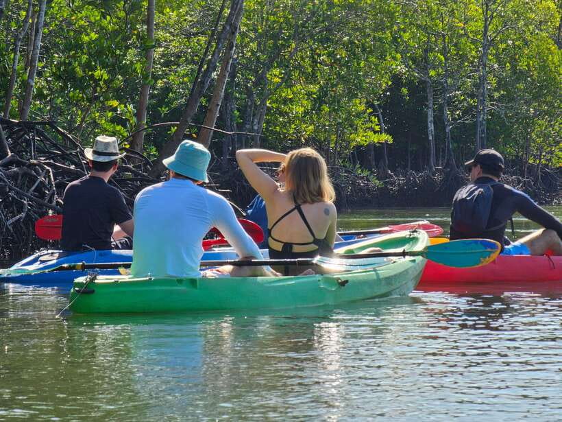 Half Day Mangrove Forest (Morning or Afternoon) - Group size, timing, and practical comfort