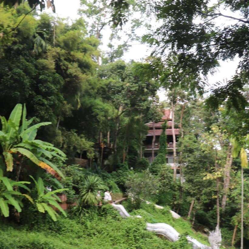 Half Day Morning Wat Pha Lat & Wat Phra That Doi Suthep Tour - What the guides add to the visit
