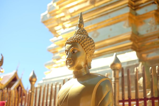 Half Day - Small Group - Doi Suthep Temple and Hmong Village Tour - Guides can shape the entire outing