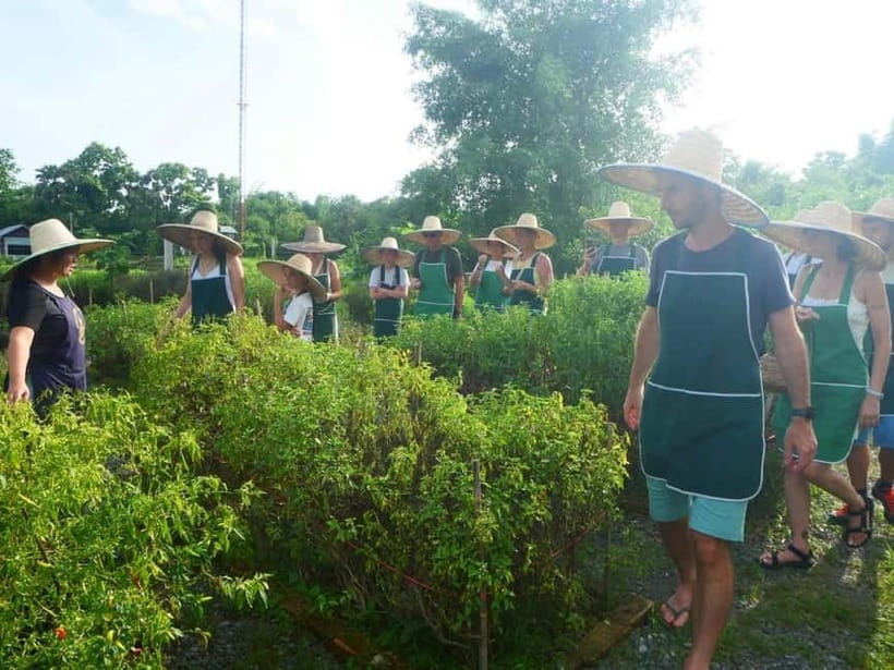 Half-Day Thai Cooking Class on a Local Farm Near Chiang Mai - What the guide adds to the day