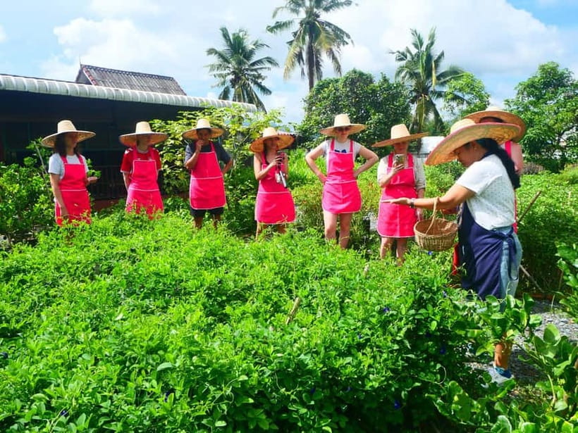 Half-Day Thai Cooking Class on a Local Farm Near Chiang Mai - Pool time keeps the six-hour schedule relaxed