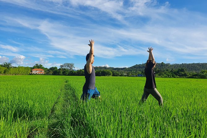 Half-Day Yoga, Meditation, and Thai Cultural Immersion in Chiang Mai - Key points at a glance
