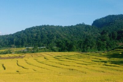 Inthanon Day Trip from Chiang Mai with Lunch – Group or Private