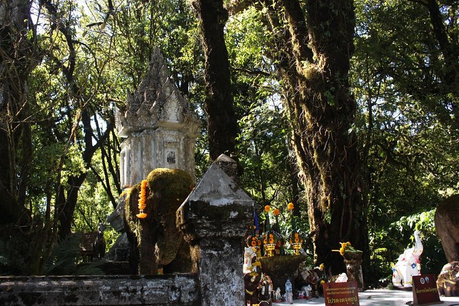Inthanon Day Trip from Chiang Mai with Lunch - Group or Private - Coffee and Karen Culture at Ban Mae Klang Luang