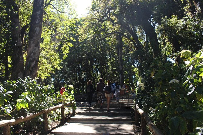 Inthanon Day Trip from Chiang Mai with Lunch - Group or Private - Wachirathan Falls: The Dramatic Final Stop