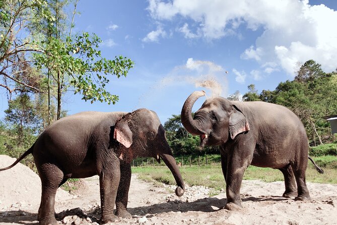 Inthanon Heaven Trail(Living Green Elephant Sanctuary) - What to wear for the sanctuary