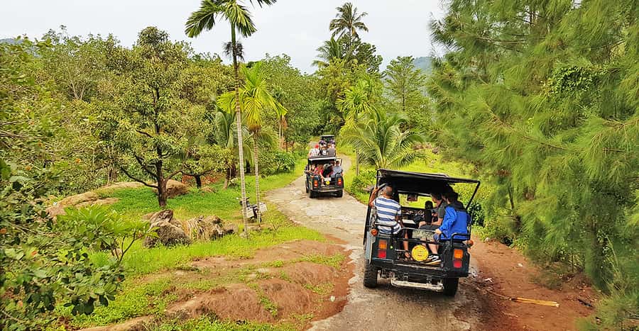 Jeep Tour Koh Samui Jungle Safari Full Day Adventure - A full island sampler for $56