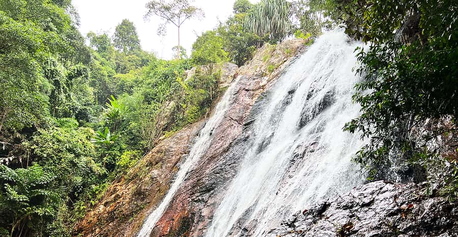 Jeep Tour Koh Samui Jungle Safari Full Day Adventure - Wat Teepangkorn and the island’s highest viewpoint