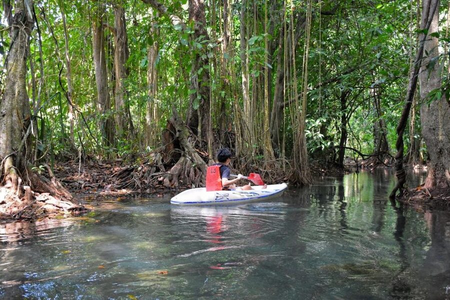 Kayaking and swiming klongrood - Reaching the clear spring lagoon