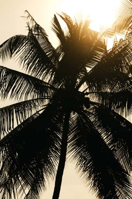 Khao Lak: 1.5-Hour Small Group Surfing Experience - Picking a Time Around the Waves